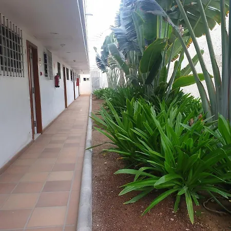 Apartamento El De Concha